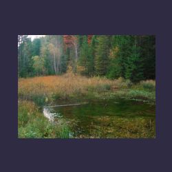 2012-10-20_Fall_AQUILA (296).JPG